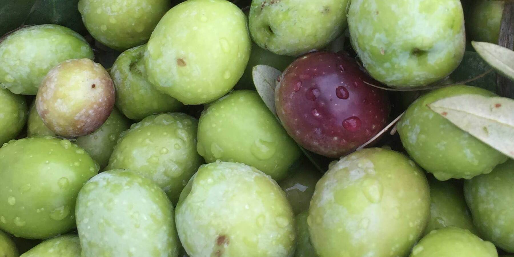delinio olives fruity eevoo