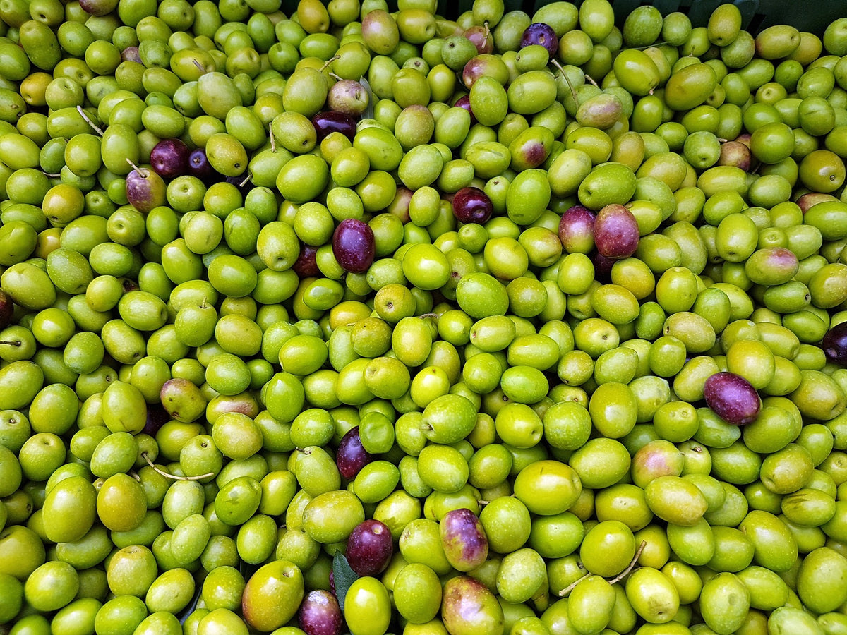 Extra Natives Bio Olivenöl Manaki, 500 ml